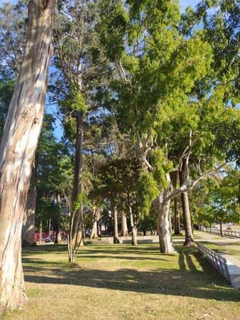 Apartamentos Mar De La Concha 维拉加尔西亚·德·阿劳萨 外观 照片